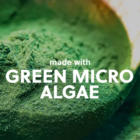 GREEN MICRO ALGAE