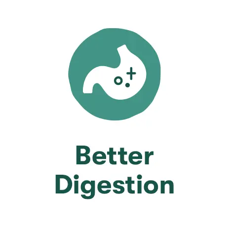 Healthy Gut, Happy Pup