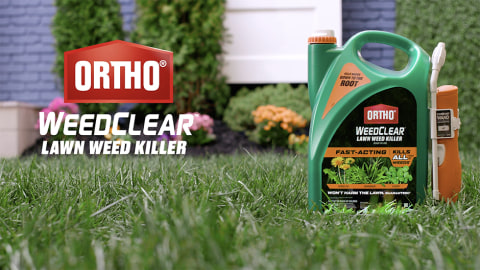 thumbnail video image 2 of Ortho WeedClear Lawn Weed Killer Ready-To-Use with Comfort Wand, 1.33 gal., 2 of 14
