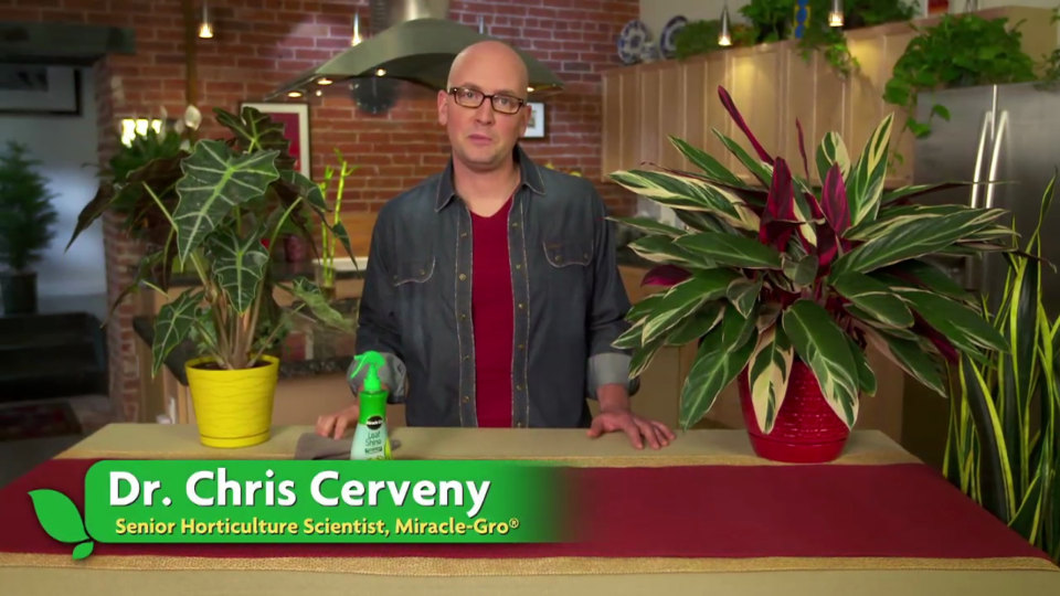 thumbnail video image 2 of Miracle-Gro Leaf Shine, 2 of 7