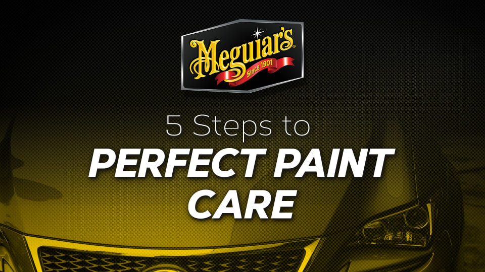 Meguiars Smooth Surface Clay Kit CASE PACK 4
