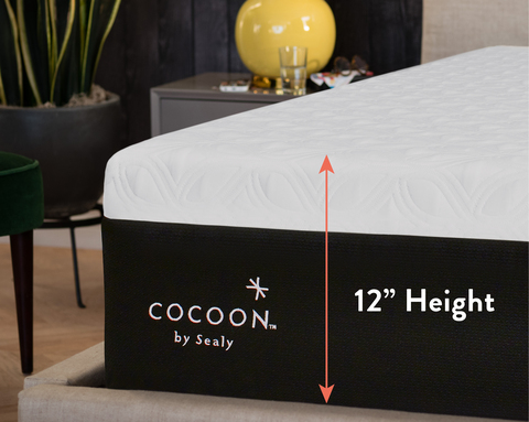Ease® Power Base  Free In-Home Set Up & 25-Year Warranty – Cocoon™ by Sealy