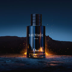 Dior Sauvage Mens Eau de Toilette Spray Dillard s