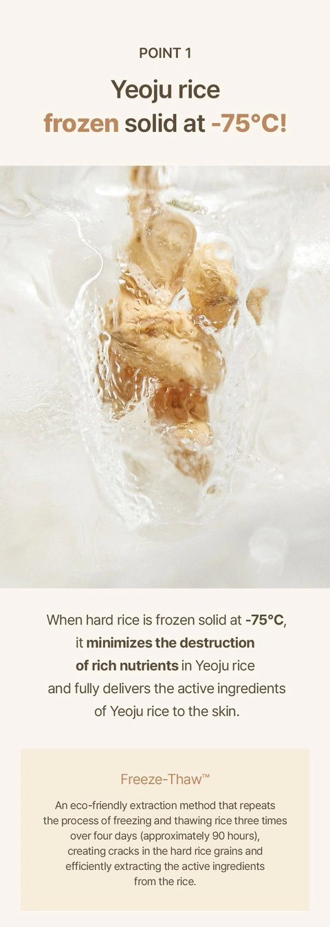 Rice Whip Facial Cleanser