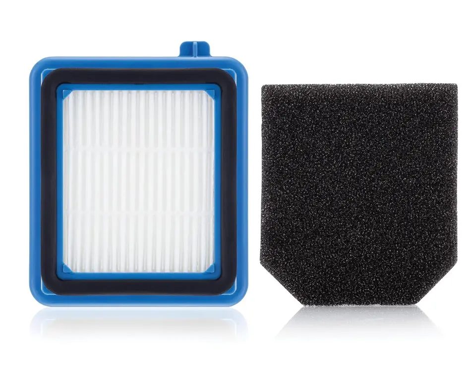 Electrolux PureAdvantage WellQ8 Vacuum Filter | Abt