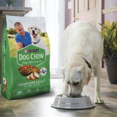 petsmart purina puppy chow
