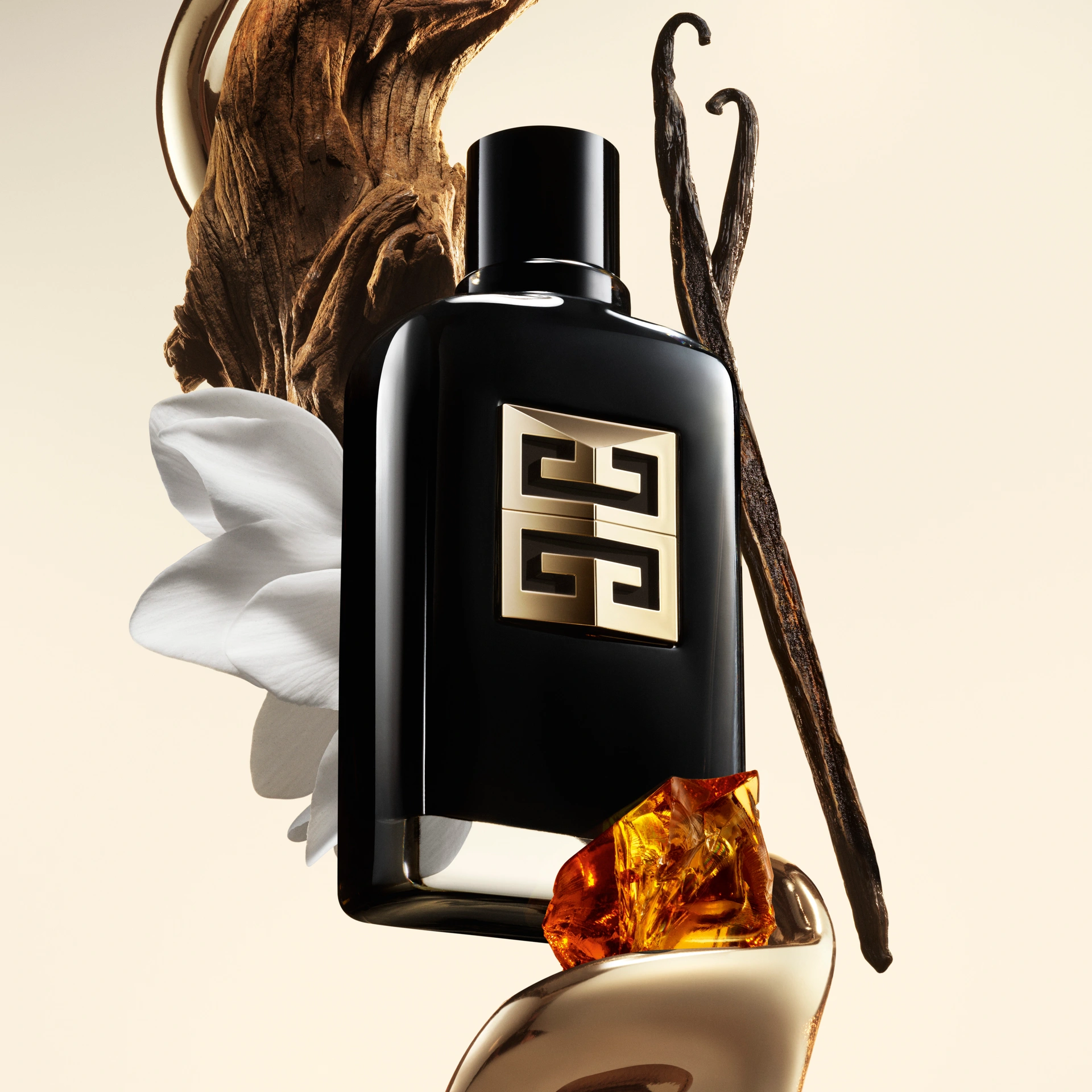 Gentleman Society Ambree Eau De Parufm Ingredient Overview 