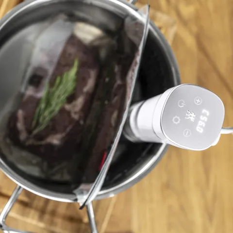 Zwilling Enfinigy Sous Vide Stick Heater | Dillard's