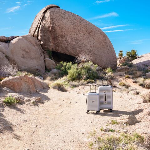 Silver Trunk Set