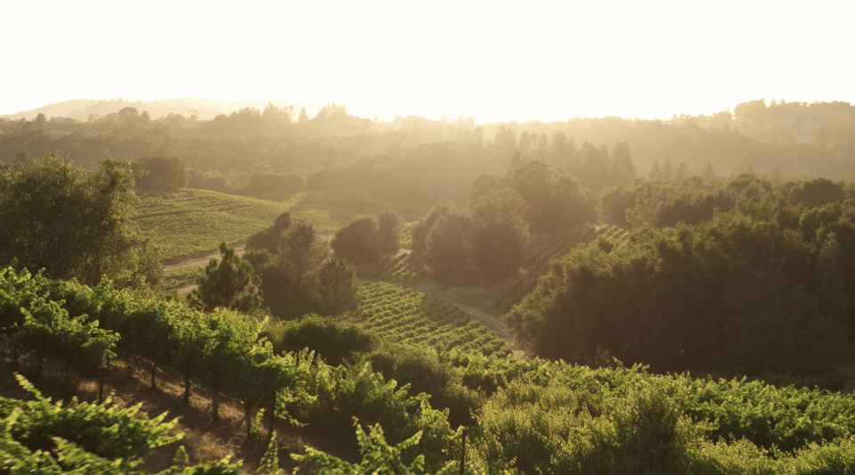 thumbnail video image 7 of Juggernaut Hillside Cabernet Sauvignon California Red Wine, 750 ml Glass Bottle, 14.5% ABV, 7 of 7