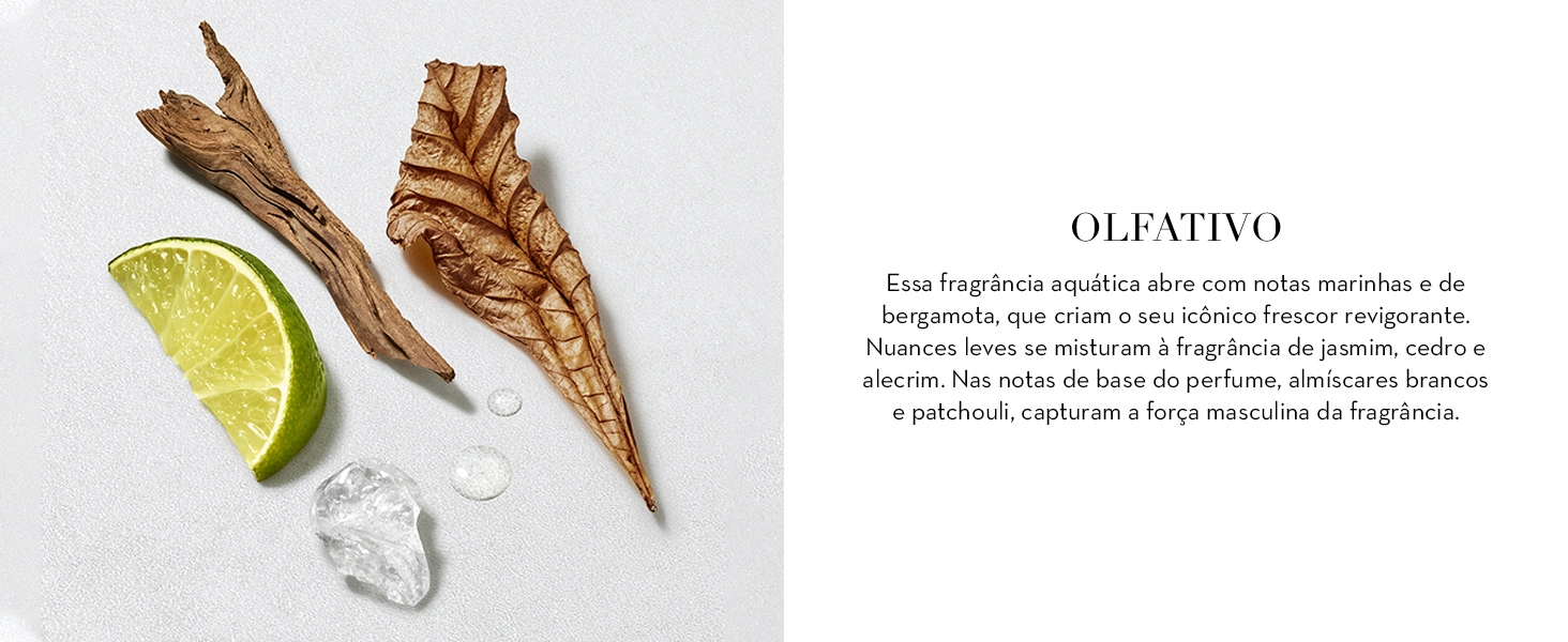 Perfume Giorgio Armani Acqua di Gi&ograve; EDT Masculino