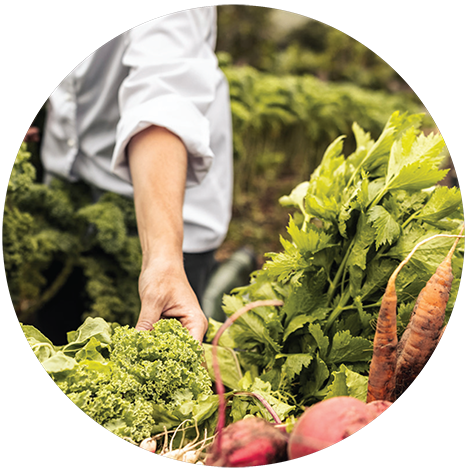 Photo: woman working with fresh produce.