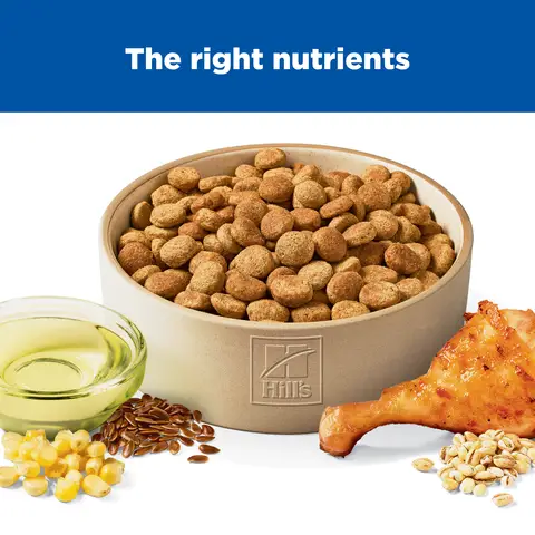 Hill's® Science Diet® Light Large Breed Adult Dry Dog Food