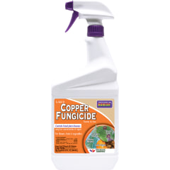 Bonide 32 Fl Oz Natural Copper Fungicide In The Moss Algae Fungus Control Department At Lowes Com