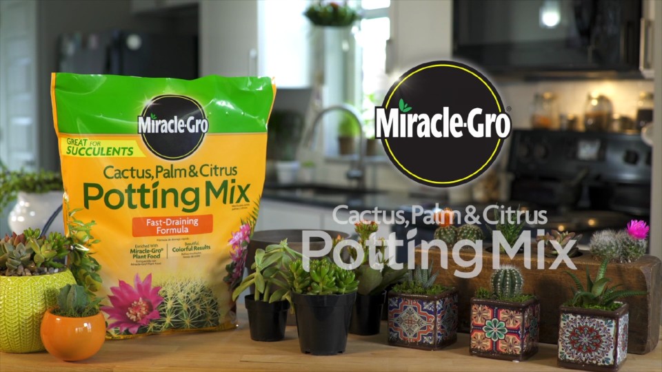 Miracle Gro Cactus Palm Citrus Potting Mix 8 Qt Walmart Com Walmart Com