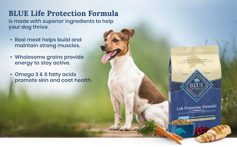 Blue Buffalo Life Protection Formula Dog Food