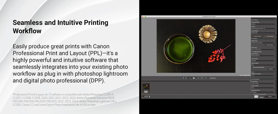 Canon imagePROGRAF PRO-310 Wireless Color Inkjet Professional