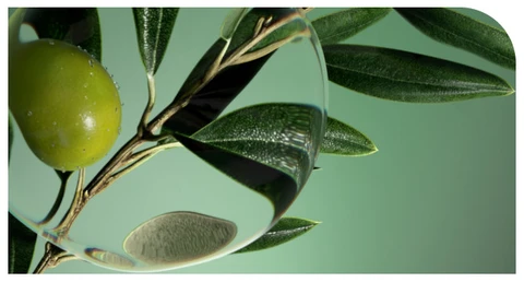 OLIVE SQUALANE​