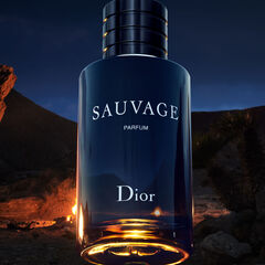 Sauvage Elixir