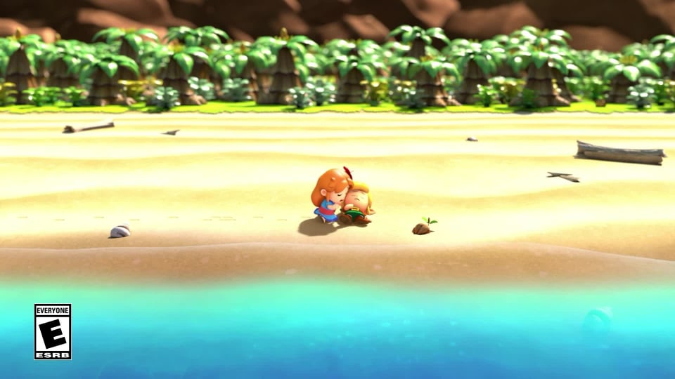 The Legend of Zelda: Link's Awakening (Switch), TLoZ LA(S)