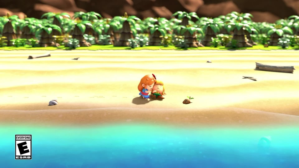 The Legend of Zelda ™: Link's Awakening game for the Nintendo