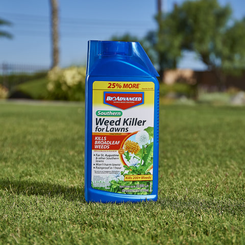 Bayer Advanced 32 Fl Oz Concentrated Lawn Weed Killer In The Weed Killers Department At Lowes Com