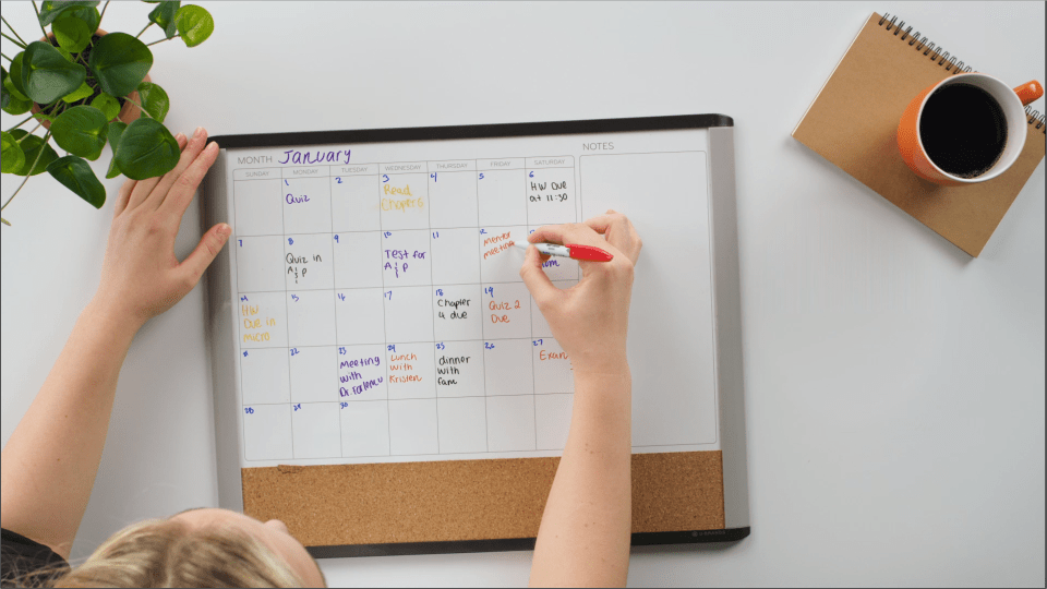 thumbnail video image 2 of Expo Vis--Vis Wet-Erase Markers Fine Marker Point - Multi - 4 / Pack, 2 of 7