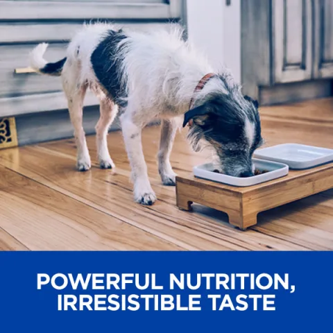 Hill's Prescription Diet Metabolic + Mobility Weight + Joint Adult Dog  Food - Chicken