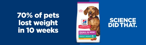 Hill's Science Diet Perfect Weight Small & Mini Adult Dry Dog Food -  Chicken Recipe