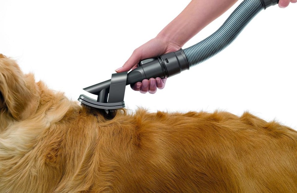 dyson attachments dog brush