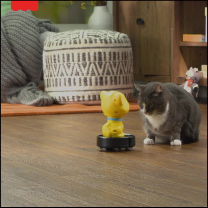 fisher price cat on roomba