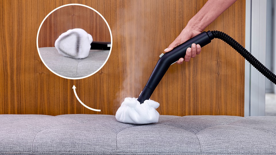 Professional steam cleaners for disinfection