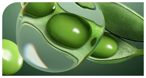 Soy Protein