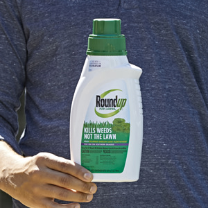 Roundup For Lawns 32 Oz Concentrated Lawn Weed Killer In The Weed Killers Department At Lowes Com