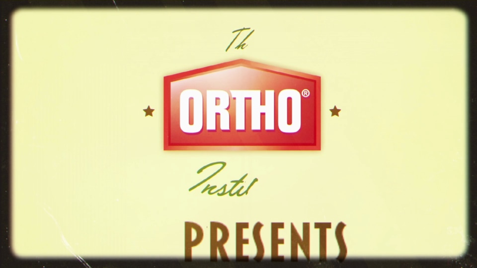 Ortho Bug B Gon MAX Insect Killer for Lawns Granules, 20 lb, Kill