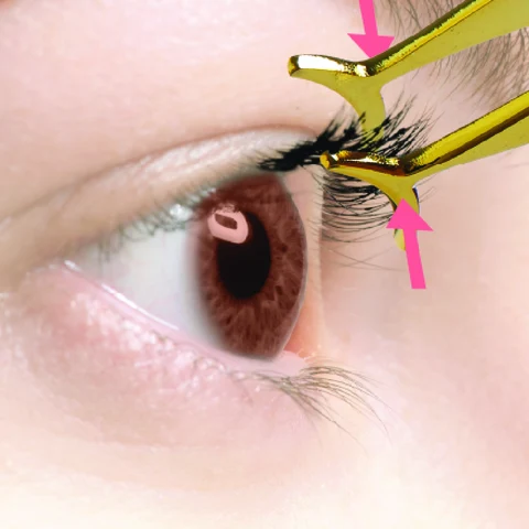 3. Squeeze clusters and natural lashes together with the applicator.