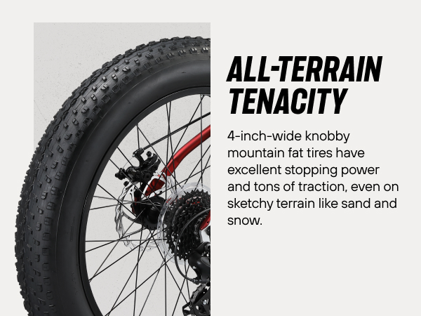 Mongoose Boys' 24” Argus Trail Fat Tire Mountain Bike | Dick's