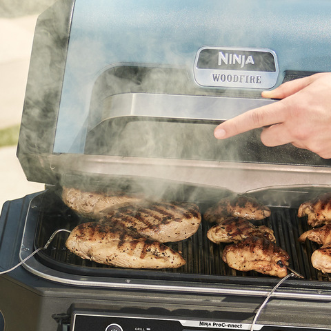 Ninja Woodfire Pro XL Outdoor Grill & Smoker with Thermometer & Cover -  21490628