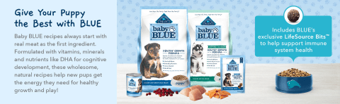 best orijen dog food Orijen Senior Dry Dog Food  PetFoodStation