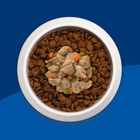 Science diet healthy outlet cuisine dog food