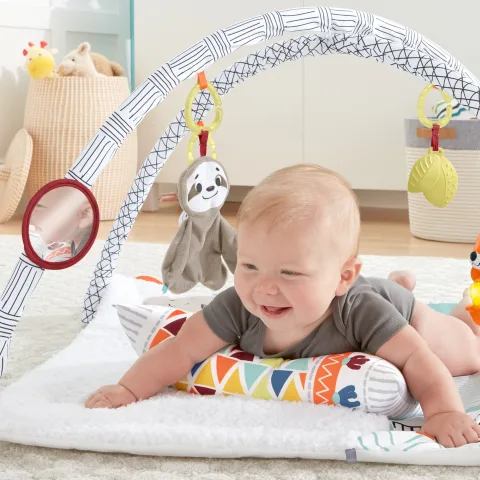 Fisher-Price Perfect Sense Deluxe Gym - R Exclusive | Babies