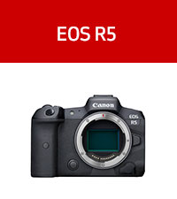 Canon EOS R5 Mirrorless Camera - Body Only - DOWNTOWN CAMERA LIMITED