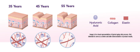 Levels of hyaluronic acid in the skin may decrease with age.