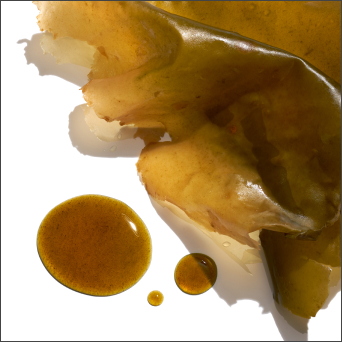 Algae extract