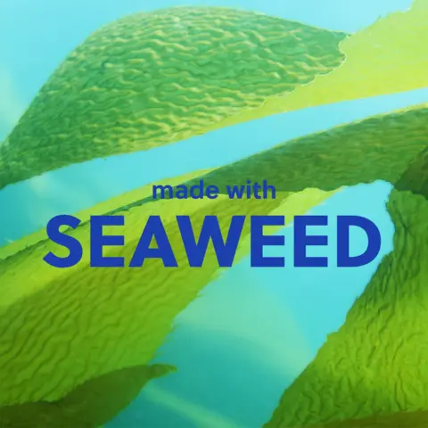 SEAWEED