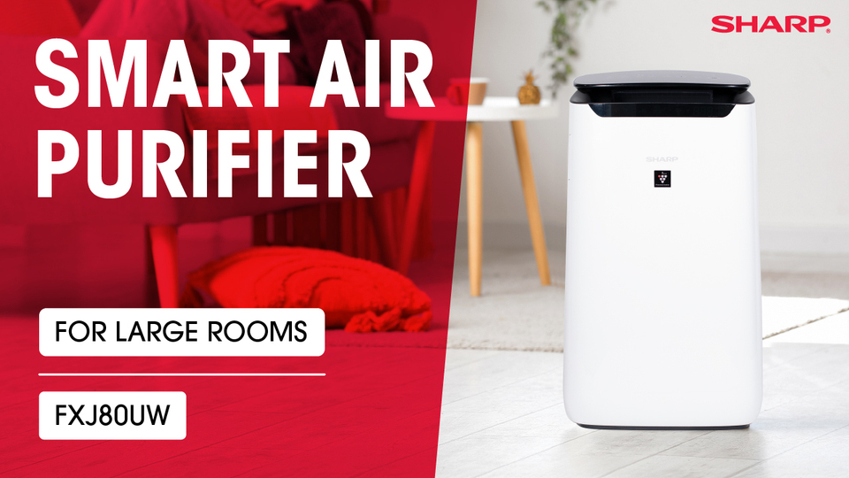 新品未開封　SHARP Plasmacluster 加湿器 IB-HF6-P 新品未開封 SHARP Plasmacluster 加湿器 IB-HF6-P Amazon.com