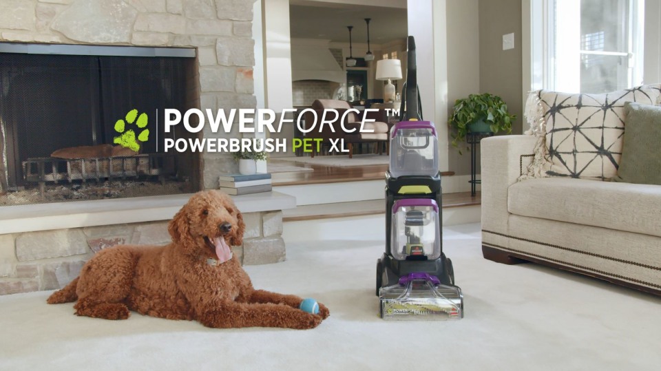 BISSELL Powerforce Powerbrush Pet XL Carpet Cleaner, 3071 Walmart