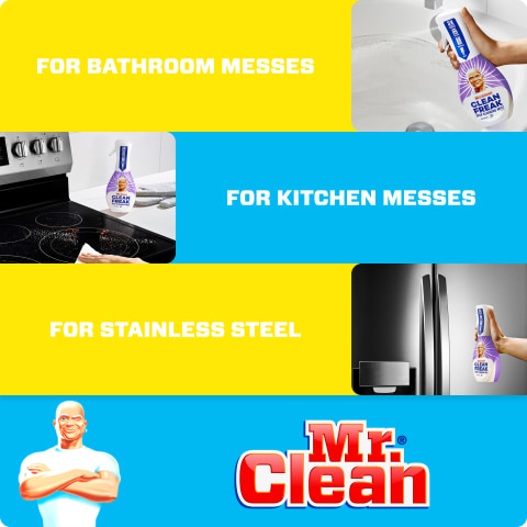 Mr. Clean Clean Freak Deep Cleaning Mist Multi-surface Spray