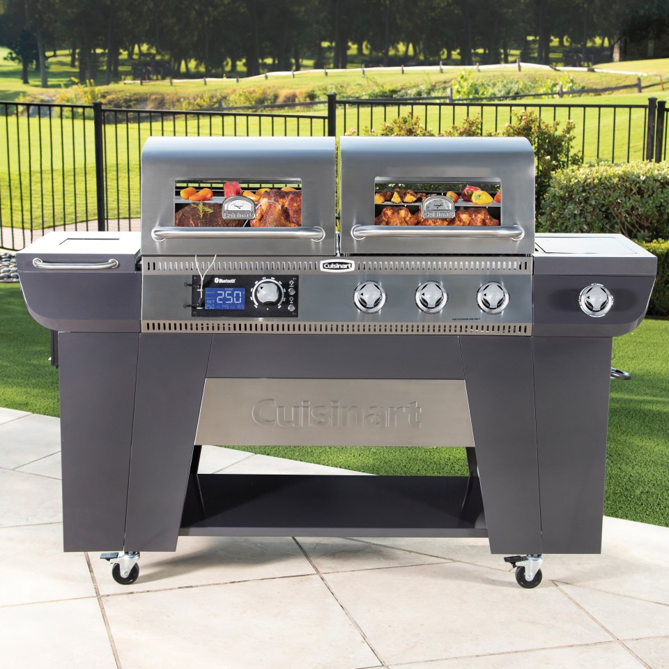 Cuisinart Twin Oaks Dual Function Pellet And Propane Gas Grill - Wibe Blog