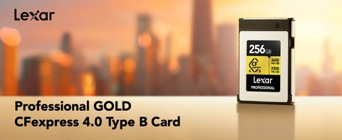 Lexar 128GB GOLD CFexpress 4.0 Type B Card Card, for Photographers
